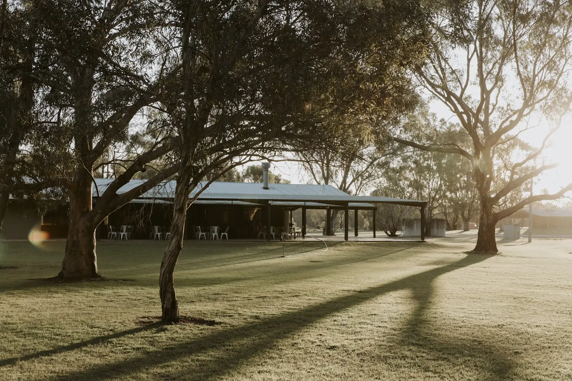 Open lawns and established red gum trees beside the venue at The Paddock